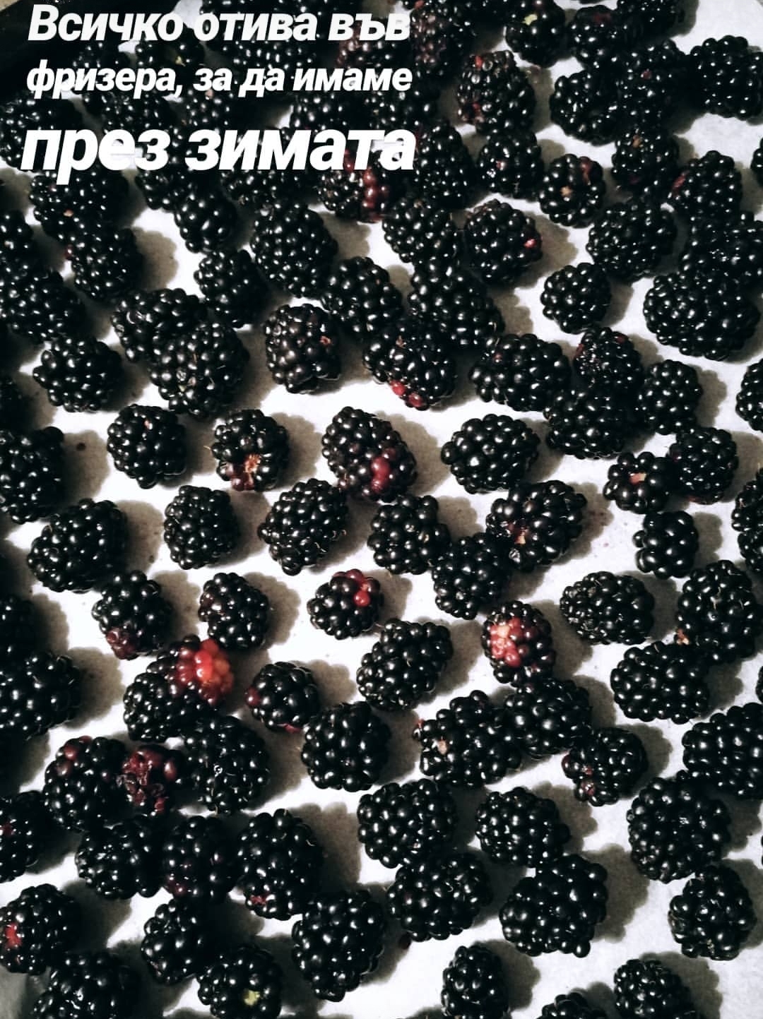 Зимнина